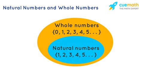 Natural Numbers And Whole Numbers .